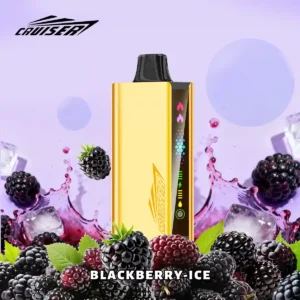 Blackberry Ice | JNR Cruiser Gold Disposable Vape